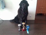 Превью фото № 174217