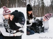 Превью фото № 174222