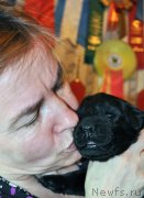 Превью фото № 174247