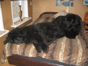 Превью фото № 174290