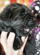 Превью фото № 174319