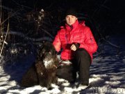 Превью фото № 174337