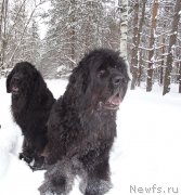 Превью фото № 174338