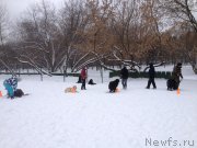 Превью фото № 174369