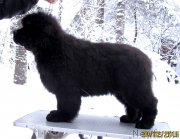 Превью фото № 174379