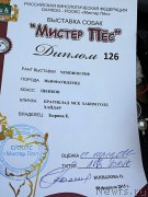 Превью фото № 174416