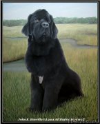 Превью фото № 174708