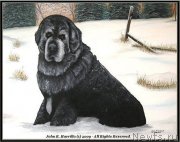 Превью фото № 174710