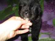 Превью фото № 174724