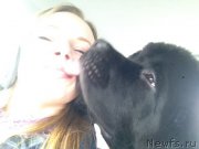 Превью фото № 174853