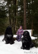 Превью фото № 174876