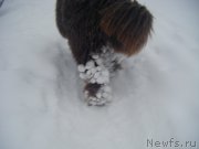 Превью фото № 174893