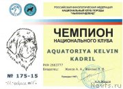 Превью фото № 174931