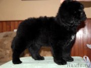 Превью фото № 174949