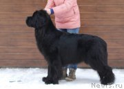 Превью фото № 174990