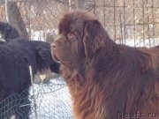 Превью фото № 175062