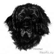 Превью фото № 175076