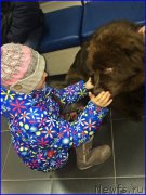 Превью фото № 175209