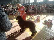 Превью фото № 175387