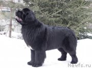 Превью фото № 175394