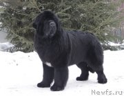 Превью фото № 175398