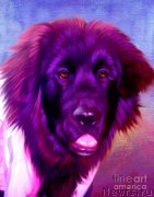 Превью фото № 175401