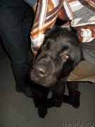 Превью фото № 175441