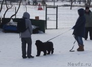 Превью фото № 175456