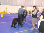 Превью фото № 175459