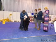 Превью фото № 175463