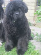 Превью фото № 175466