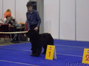 Превью фото № 175467