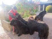 Превью фото № 175479