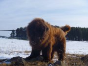 Превью фото № 175505