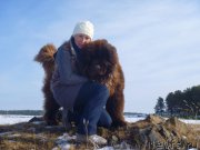 Превью фото № 175506