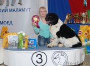 Превью фото № 175522