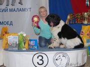 Превью фото № 175523