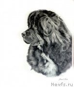 Превью фото № 175531