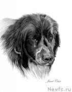 Превью фото № 175533