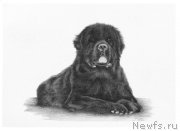 Превью фото № 175536