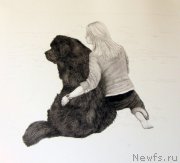 Превью фото № 175544