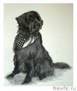 Превью фото № 175545