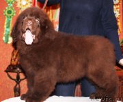 Превью фото № 175636