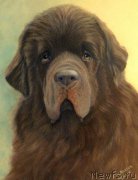 Превью фото № 175698