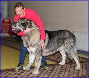 Превью фото № 175705