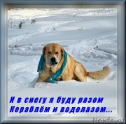 Превью фото № 175753