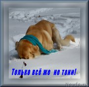 Превью фото № 175755