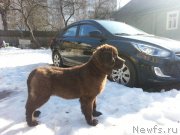 Превью фото № 175759