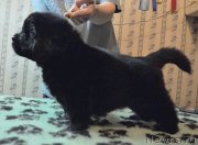 Превью фото № 175788