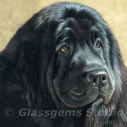 Превью фото № 175803